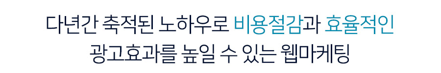 다년간 축적된 노하우로 비용절감과 효율적인 광고효과를 높일 수 있는 웹마케팅